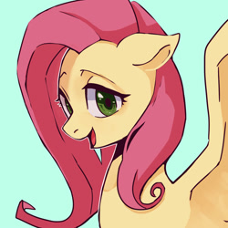 Size: 2000x2000 | Tagged: safe, artist:hosikawa, fluttershy, pegasus, pony, g4, bust, floppy ears, high res, open mouth, portrait, simple background, solo