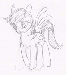 Size: 368x418 | Tagged: artist needed, safe, pony, female, mare, monochrome, nue houjuu, ponified, solo, touhou, traditional art