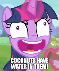 Size: 500x607 | Tagged: safe, edit, edited screencap, screencap, twilight sparkle, alicorn, pony, g4, interseason shorts, starlight the hypnotist, bluey, caption, coconuts have water in them, context is for the weak, cropped, image macro, imgflip, insanity, link in description, reference, solo, text, twilight snapple, twilight sparkle (alicorn)