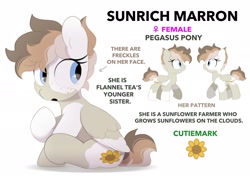 Size: 2064x1457 | Tagged: safe, artist:mochi_nation, oc, oc only, oc:sunrich maron, pegasus, pony, coat markings, female, freckles, mare, reference sheet, simple background, sitting, solo, white background