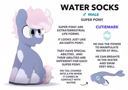 Size: 2064x1457 | Tagged: safe, artist:mochi_nation, oc, oc only, oc:water socks, earth pony, pony, coat markings, male, reference sheet, simple background, socks (coat markings), solo, stallion, white background