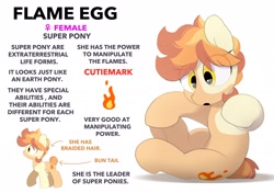 Size: 2064x1457 | Tagged: safe, artist:mochi_nation, oc, oc only, oc:flame egg, earth pony, pony, coat markings, female, mare, reference sheet, simple background, solo, white background