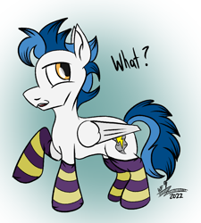 Size: 702x780 | Tagged: safe, artist:whirlwindflux, oc, oc only, oc:whirlwind flux, pegasus, pony, clothes, male, socks, solo, stallion, striped socks