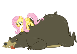 Size: 2927x2049 | Tagged: safe, artist:arvyr, fluttershy, harry, bear, pegasus, pony, g4, lesson zero, high res, massage, simple background, transparent background, vector