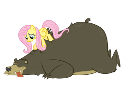 Size: 2927x2049 | Tagged: safe, artist:arvyr, fluttershy, harry, bear, pegasus, pony, g4, lesson zero, dazed, duo, fat, high res, larger male, massage, obese, physique difference, simple background, size difference, skinny, smaller female, strong fat, thin, tongue out, transparent background, vector