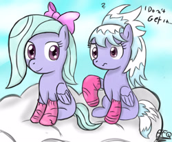 Size: 1250x1030 | Tagged: safe, artist:freefraq, cloudchaser, flitter, pegasus, pony, g4, clothes, cloud, confused, duo, female, socks