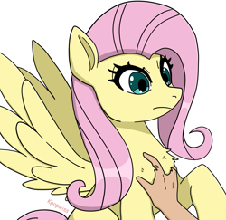 Size: 1907x1853 | Tagged: safe, artist:kpapwiss, fluttershy, human, pegasus, pony, g4, chest fluff, fur, hand, human on pony petting, petting, simple background, solo focus, white background