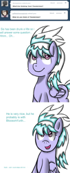 Size: 900x2200 | Tagged: safe, artist:freefraq, cloudchaser, flitter, pony, g4, ask-flitter, female, simple background, solo, white background