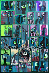Size: 1200x1800 | Tagged: safe, artist:princessemerald7, fine line, maxie, meadow song, north star, perfect pace, queen chrysalis, rainbowshine, shining armor, changeling, changeling queen, a canterlot wedding, g4, season 2, collage, female