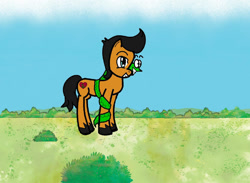 Size: 1024x751 | Tagged: safe, artist:christinekapsalaki, earth pony, pony, snake, g4, best friends, black hair, black mane, black tail, craig slithers, excited, eyebrows, field, grin, male, ponified, sanjay and craig, sanjay patel, smiling, stallion, tail, unshorn fetlocks