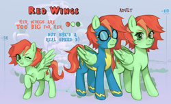 Size: 7000x4268 | Tagged: safe, artist:oops pio, oc, oc only, oc:red wings, pegasus, pony, clothes, female, filly, foal, mare, reference, reference sheet, smiling, spread wings, standing, uniform, wings, wonderbolts uniform