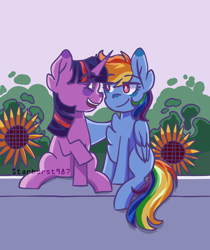 Size: 1200x1431 | Tagged: safe, artist:starburst987, rainbow dash, twilight sparkle, pegasus, pony, unicorn, g4, chest fluff, duo, duo female, ear fluff, female, flower, lesbian, looking at each other, mare, ship:twidash, shipping, signature, smiling, smiling at each other, sunflower