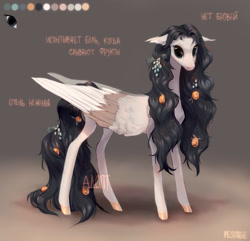Size: 1920x1854 | Tagged: safe, artist:pessadie, oc, oc only, pegasus, pony, pegasus oc, reference sheet, wings