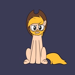 Size: 1080x1080 | Tagged: safe, artist:blitzypony, oc, oc:chase, earth pony, pony, beard, facial hair, looking at you, male, simple background, sitting, solo, stallion