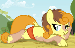 Size: 1637x1059 | Tagged: safe, artist:anonymous, carrot top, golden harvest, earth pony, pony, g4, /ptfg/, clothes, dock, female, frown, human to pony, lying down, mare, mid-transformation, outdoors, prone, show accurate, solo, tail, transformation, underwear