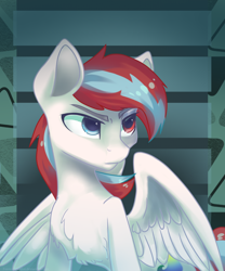 Size: 1000x1200 | Tagged: safe, artist:feelinnglad, oc, oc only, pegasus, pony, solo