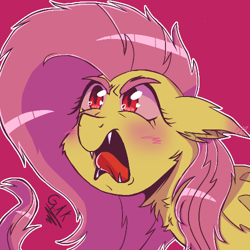 Size: 500x500 | Tagged: safe, artist:geluatekurama, fluttershy, bat pony, pony, g4, bat ponified, fangs, female, flutterbat, mare, open mouth, outline, race swap, red background, simple background, snarling, solo, tongue out, white outline