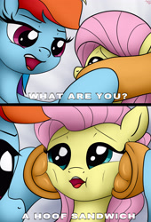 Size: 3000x4400 | Tagged: safe, artist:littlenaughtypony, applejack, fluttershy, rainbow dash, earth pony, pegasus, pony, g4, 2 panel comic, comic, female, fetish, hoof fetish, idiot sandwich, mare, meme, offscreen character