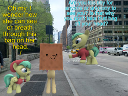 Size: 1920x1440 | Tagged: safe, artist:topsangtheman, barley barrel, pickle barrel, oc, oc:paper bag, earth pony, pegasus, pony, g4, 3d, barrel twins, brother and sister, colt, female, filly, foal, irl, male, mare, new york city, photo, ponies in real life, siblings, source filmmaker, twins