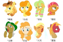 Size: 1664x1117 | Tagged: safe, artist:luansh, apple cobbler, apple strudel, babs seed, big macintosh, braeburn, carrot top, golden harvest, goldie delicious, pear butter, earth pony, pony, g4, apple family, apple family member, chinese, crying, female, filly, floppy ears, foal, male, mare, ocular gushers, simple background, stallion, white background, younger