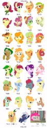 Size: 1664x4523 | Tagged: safe, artist:luansh, apple bloom, apple brown betty, apple bumpkin, apple cider (g4), apple cobbler, apple dumpling, apple fritter, apple leaves, apple rose, apple split, apple strudel, applejack, aunt orange, auntie applesauce, babs seed, big macintosh, braeburn, bright mac, candy apples, carrot top, emerald green, gala appleby, golden harvest, goldie delicious, granny smith, green gem, mosely orange, pear butter, pink lady, pinkie pie, red delicious, sugar belle, uncle orange, oc, earth pony, pony, unicorn, g4, apple family, apple family member, chinese, female, filly, foal, male, mare, simple background, stallion, white background, young granny smith, younger