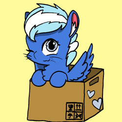 Size: 2484x2484 | Tagged: safe, artist:rainbowwing, oc, oc only, oc:exobass, pegasus, pony, :3, behaving like a cat, box, cardboard box, chest fluff, ear fluff, high res, looking at you, one eye closed, pegasus oc, rainbowwing is trying to murder us, simple background, solo, spread wings, whiskers, wings, wink, winking at you, yellow background