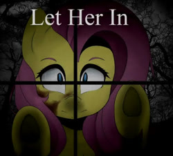 Size: 420x380 | Tagged: safe, fluttershy, pegasus, pony, fanfic:let her in, g4, female, mare, night, tree, window, youtube link