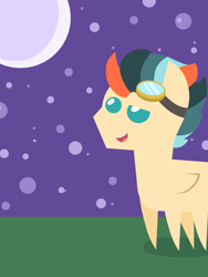 Size: 3072x4096 | Tagged: safe, oc, oc only, oc:turbo swifter, pegasus, pony, goggles, grass, male, moon, night, pointy ponies, solo, stallion, stars