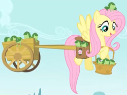 Size: 661x492 | Tagged: safe, screencap, fluttershy, frog, pegasus, pony, feeling pinkie keen, g4, season 1, bag, basket, carrying, cart, cropped, female, flying, looking down, mare, saddle bag, sky, smiling, solo, wings, youtube link