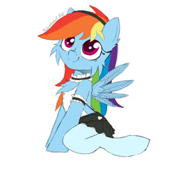 Size: 1080x1080 | Tagged: safe, artist:fajnyziomal, rainbow dash, pegasus, pony, g4, cheek fluff, chest fluff, clothes, commission, maid, rainbow dash always dresses in style, sexy, simple background, smiling, socks, solo, spread wings, white background, wings, your character here
