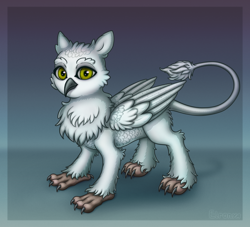 Size: 2640x2400 | Tagged: safe, artist:eltaile, oc, oc only, oc:mynthe, bird, griffon, hybrid, owl, owl griffon, claws, commission, cute, fluffy, griffon oc, high res, looking at you, male, solo, wings