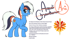 Size: 1400x800 | Tagged: safe, artist:ponynamedmixtape, oc, oc only, oc:araceli chrysanthemum, earth pony, pony, female, lore, reference sheet, simple background, solo, transparent background