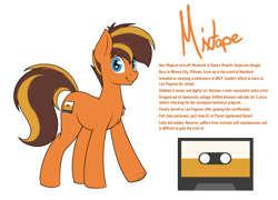Size: 2500x1800 | Tagged: safe, artist:ponynamedmixtape, oc, oc only, oc:mixtape, earth pony, pony, lore, male, reference sheet, simple background, solo, text, transparent background
