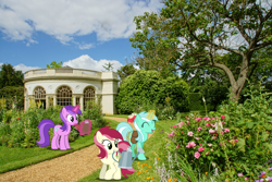 Size: 1500x1000 | Tagged: safe, artist:mlplover94, artist:mundschenk85, amethyst star, lyra heartstrings, roseluck, sparkler, earth pony, pony, unicorn, g4, background pony, bag, clipboard, england, female, flower, garden, irl, london, magic, mare, mouth hold, photo, ponies in real life, recolor, saddle bag, telekinesis, trio, united kingdom, watering can