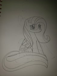 Size: 3024x4032 | Tagged: safe, artist:haileykitty69, fluttershy, pegasus, pony, g4, sketch, solo, traditional art