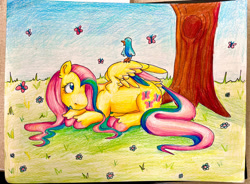 Size: 1280x940 | Tagged: safe, artist:sonorousinclemency, fluttershy, bird, butterfly, pegasus, pony, g4, female, lying down, mare, prone, solo, traditional art, tree