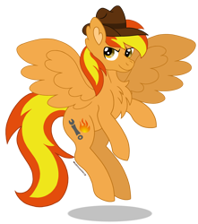 Size: 2650x3000 | Tagged: safe, artist:madlilon2051, oc, pegasus, pony, base used, chest fluff, hat, high res, male, pegasus oc, simple background, solo, stallion, transparent background, wings