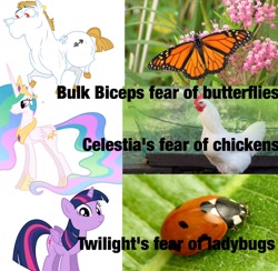 Size: 1571x1536 | Tagged: artist needed, safe, edit, bulk biceps, princess celestia, twilight sparkle, alicorn, bird, butterfly, chicken, insect, ladybug, pegasus, pony, between dark and dawn, flight to the finish, g4, interseason shorts, starlight the hypnotist, alektorophobia, crown, female, folded wings, jewelry, looking at you, male, mare, peytral, regalia, stallion, that princess sure is afraid of chickens, twilight sparkle (alicorn), wings