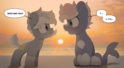 Size: 3900x2150 | Tagged: safe, artist:mochi_nation, oc, oc:silver bolt, oc:water socks, earth pony, pony, beach, blushing, coat markings, dialogue, duo, female, high res, looking at each other, looking at someone, male, mare, sitting, socks (coat markings), stallion, sunset
