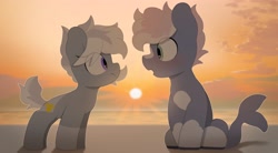 Size: 3900x2150 | Tagged: safe, alternate version, artist:mochi_nation, oc, oc:silver bolt, oc:water socks, earth pony, pony, beach, blushing, coat markings, duo, female, high res, looking at each other, looking at someone, male, mare, sitting, socks (coat markings), stallion, sunset