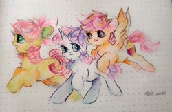 Size: 3000x1950 | Tagged: safe, artist:jile5761, apple bloom, scootaloo, sweetie belle, earth pony, pegasus, pony, unicorn, g4, cutie mark crusaders, female, filly, foal, traditional art