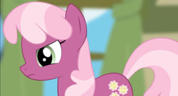Size: 1212x660 | Tagged: safe, artist:bronydanceparty, cheerilee, earth pony, pony, love me cheerilee, g4, cheerilee is not amused, female, mare, unamused, youtube link