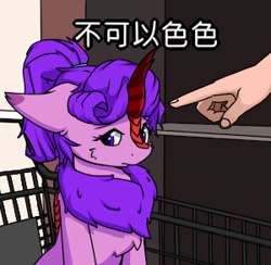 Size: 300x293 | Tagged: safe, artist:tx547, oc, oc only, oc:molly jasmine, human, kirin, bad pony, chinese, chinese meme, kirin oc, meme, offscreen character, offscreen human, pointing, translated in the comments