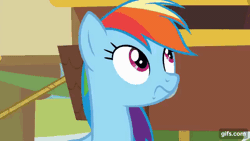 Size: 640x360 | Tagged: safe, screencap, rainbow dash, pegasus, pony, grannies gone wild, season 8, animated, faic, female, gif, gifs.com, grrrr, hair pulling, mare, rainbow dash is best facemaker, solo, spread wings, wings