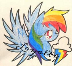 Size: 600x544 | Tagged: safe, artist:cryptidkitty, rainbow dash, pegasus, pony, g4, cloud, female, loyalty, mare, multicolored hair, pencil drawing, rainbow, rainbow hair, smiling, spread wings, text, traditional art, wings