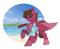 Size: 2536x2088 | Tagged: safe, artist:dorkmark, oc, oc only, pegasus, pony, background sketch, blaze (coat marking), chest fluff, circle background, clothes, coat markings, colored ear fluff, colored wings, ear fluff, facial markings, glasses, hawaiian shirt, high res, hock fluff, male, pale belly, raised hoof, scenery, shirt, smiling, socks (coat markings), solo, stallion, sunglasses, two toned wings, water, wings