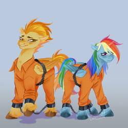 Size: 2000x2000 | Tagged: safe, artist:bonniem_x2, rainbow dash, spitfire, pegasus, pony, g4, bound wings, chains, clothes, cuffs, duo, duo female, female, high res, prison outfit, prisoner, prisoner rd, shackles, unshorn fetlocks, wings