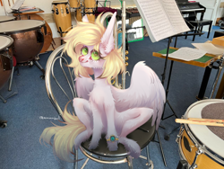 Size: 1280x960 | Tagged: safe, alternate version, artist:armandool, oc, oc only, oc:ludwig von leeb, pegasus, pony, blonde hair, clock, congas, cymbals, drums, drumsticks, green eyes, male, music notes, musical instrument, piano, sitting, snare drum, solo, spread wings, stallion, timpani, trumpet, wings, xylophone