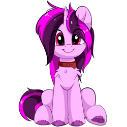 Size: 1280x1280 | Tagged: safe, artist:joaothejohn, oc, oc only, oc:giovanni, pony, unicorn, blushing, chest fluff, collar, colored hooves, cute, eye clipping through hair, eyebrows, eyebrows visible through hair, full body, horn, looking at you, red collar, simple background, sitting, smiling, smiling at you, solo, unicorn oc, unshorn fetlocks, white background