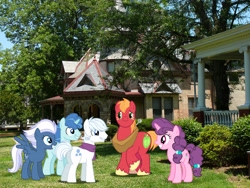 Size: 2560x1920 | Tagged: safe, artist:ambassad0r, artist:dashiesparkle, artist:mlplover94, big macintosh, double diamond, night glider, party favor, sugar belle, earth pony, pegasus, pony, unicorn, g4, butt, female, grin, high res, irl, male, mare, north carolina, photo, plot, ponies in real life, raleigh, smiling, stallion